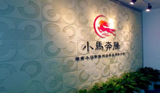 长沙做网站建设最好的公司——本地资源与网络推广策略解析